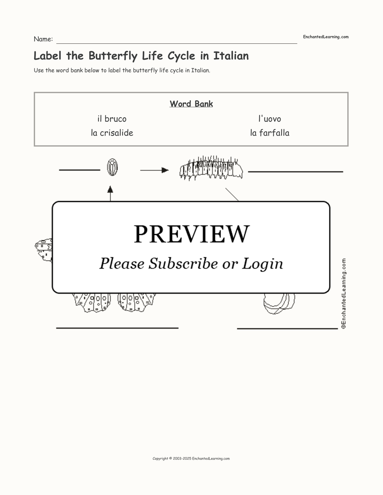 Label the Butterfly Life Cycle in Italian interactive worksheet page 1