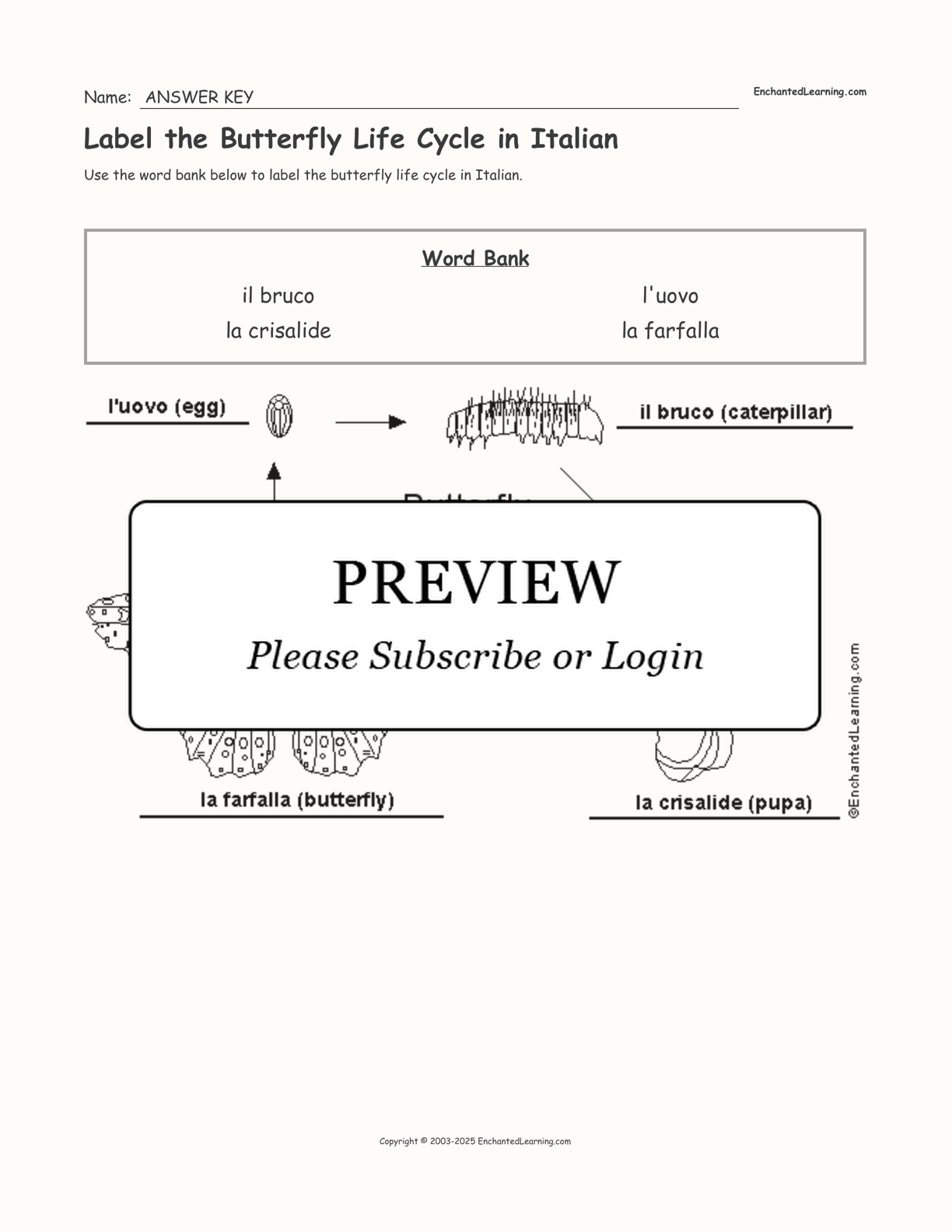 Label the Butterfly Life Cycle in Italian interactive worksheet page 2