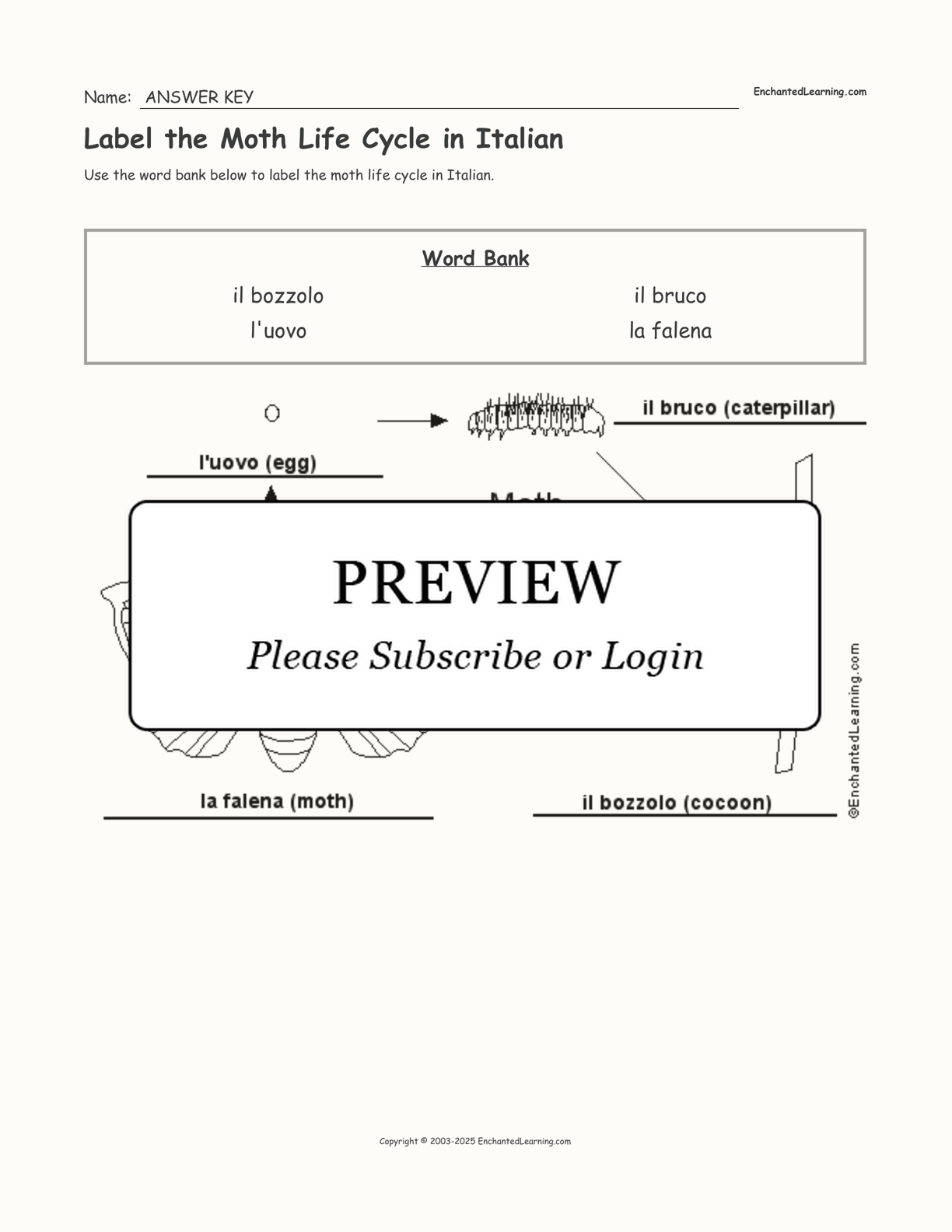 Label the Moth Life Cycle in Italian interactive worksheet page 2