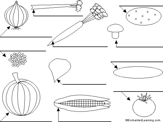Search result: 'Label the Vegetables in Russian Printout'