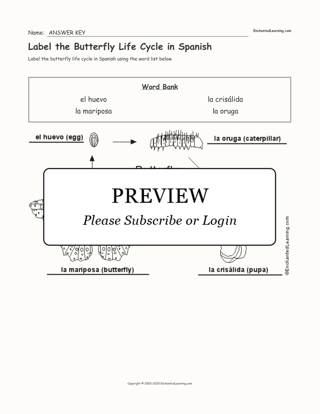 Label the Butterfly Life Cycle in Spanish interactive worksheet page 2