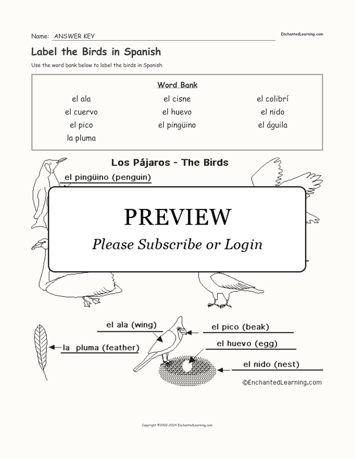 Label the Birds in Spanish interactive worksheet page 2