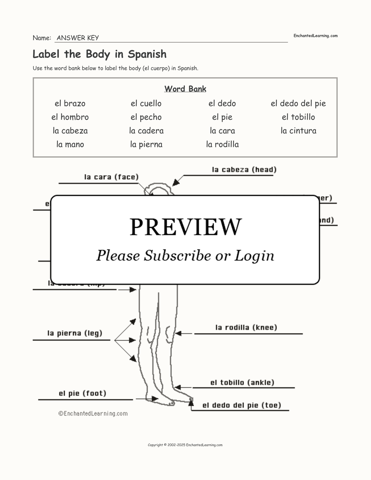 Label the Body in Spanish interactive worksheet page 2