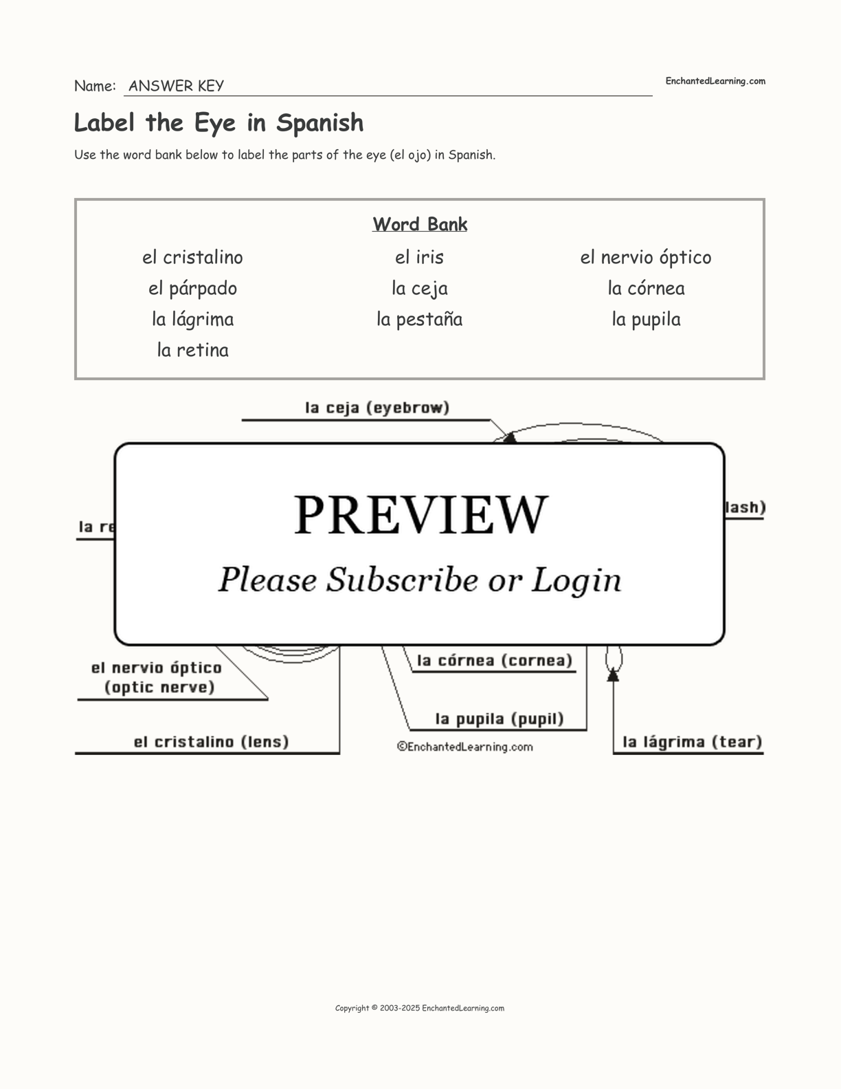 Label the Eye in Spanish interactive worksheet page 2