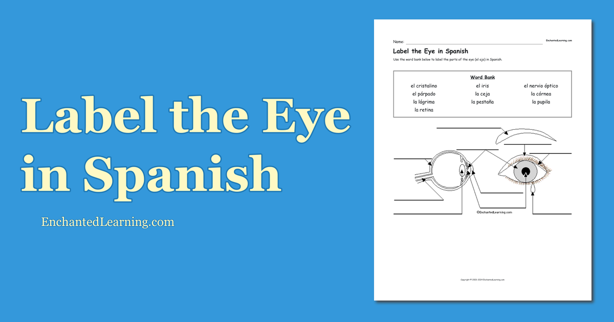 wandering eye in spanish