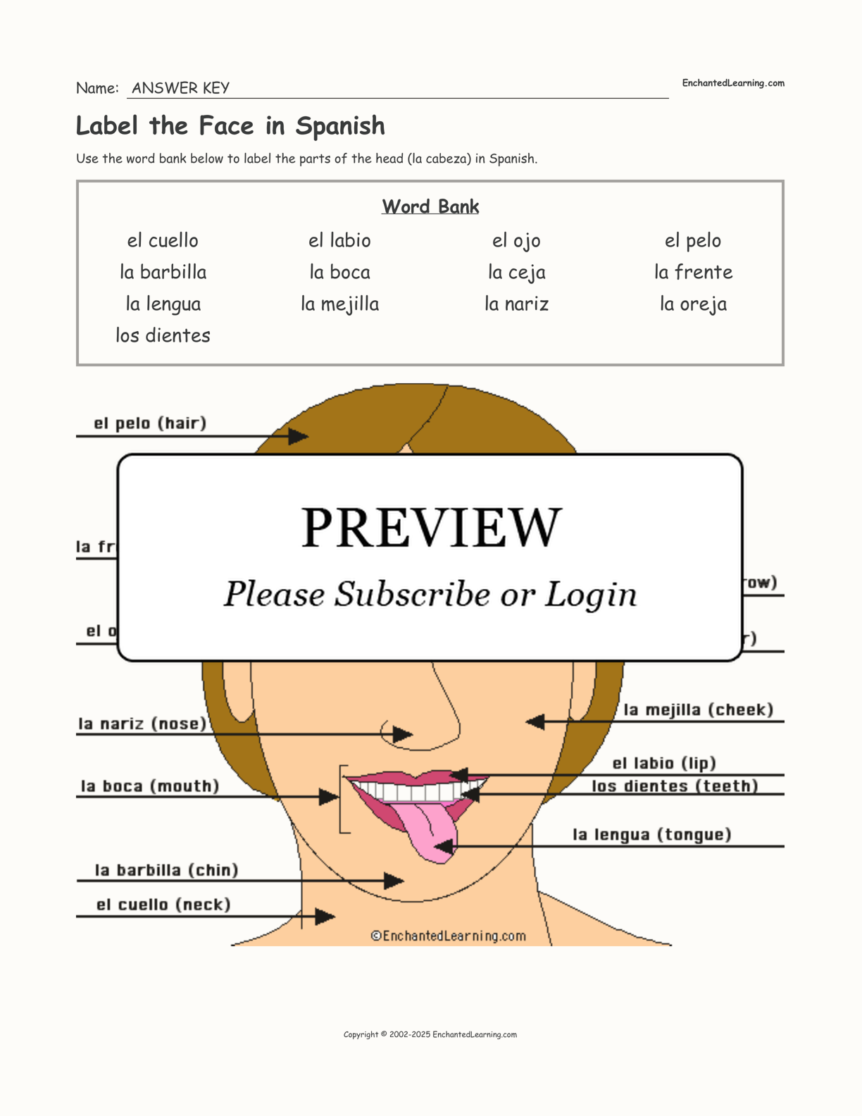 english-to-spanish-parts-of-the-face-spanish-flashcards