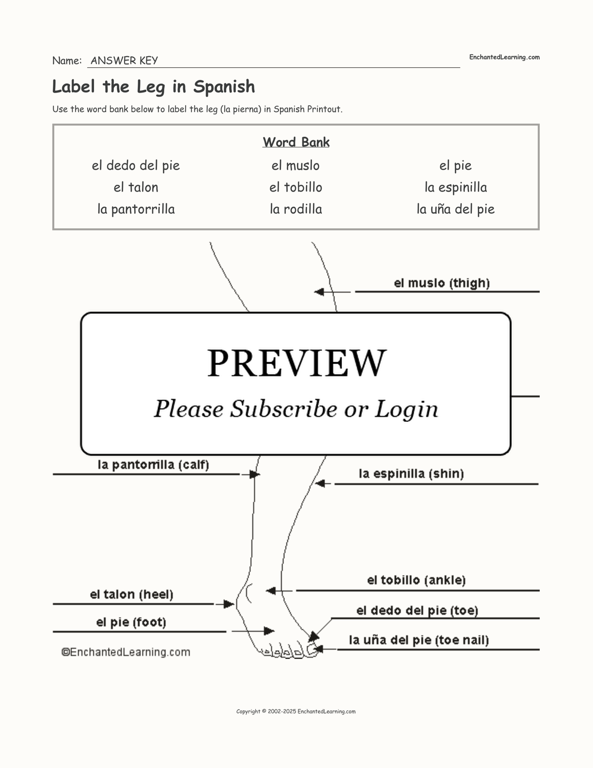 Label the Leg in Spanish Enchanted Learning