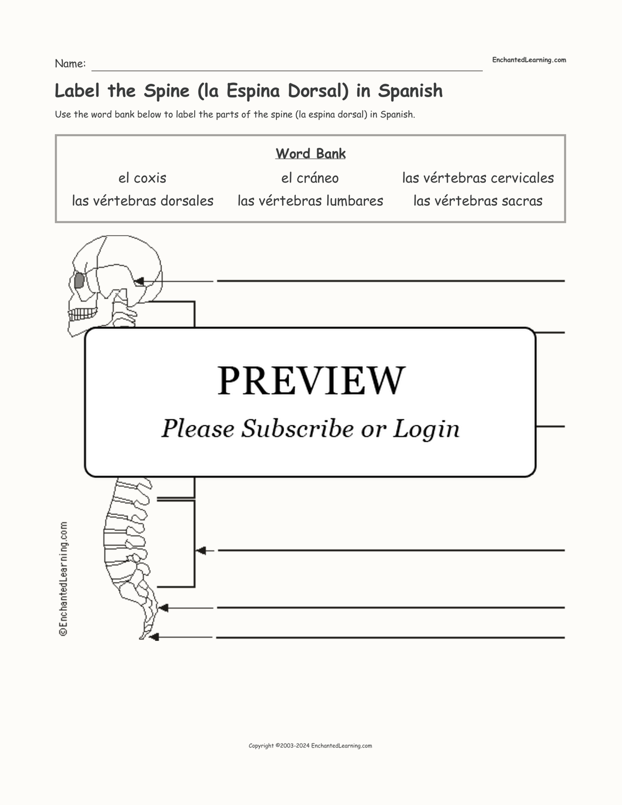 Label the Spine (la Espina Dorsal) in Spanish interactive worksheet page 1