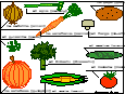 vegetables to label