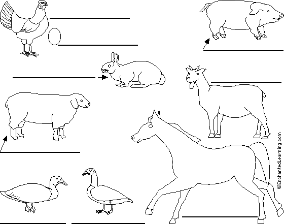 Search result: 'Label Farm Animals in Swedish Printout'