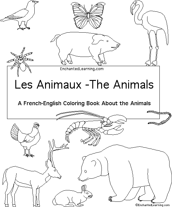Search result: 'Animals in French:  Cover'