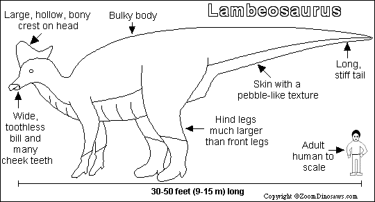 Search result: 'Lambeosaurus Printout'