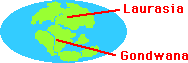 Laurasia and Gondwanaland