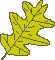 Search result: 'Leaf Craft'