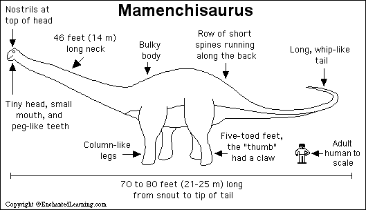 Search result: 'Mamenchisaurus Print-out'