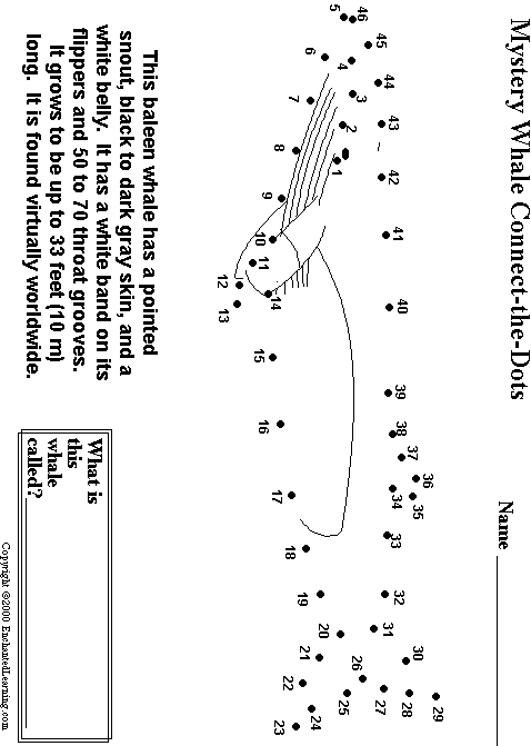 Search result: 'Minke Whale Connect-the-Dots'