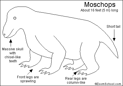 Moschops