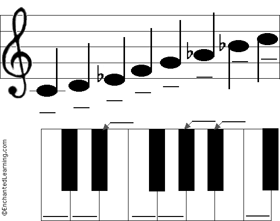 Label the C Minor Scale