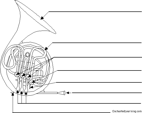 Label the double French horn