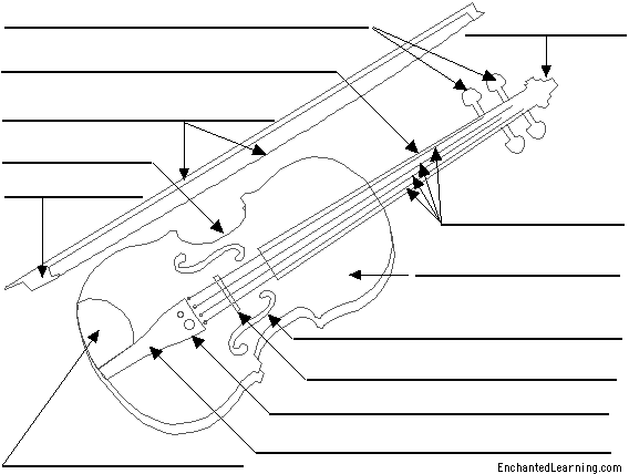 Label the violin