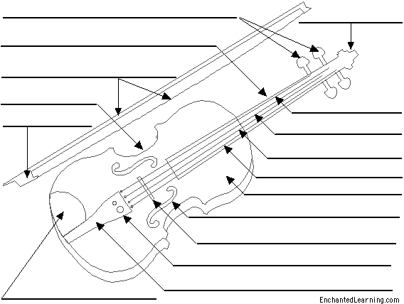 Label the Violin Printout #2 - EnchantedLearning.com