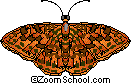 Oregon Silverspot Butterfly