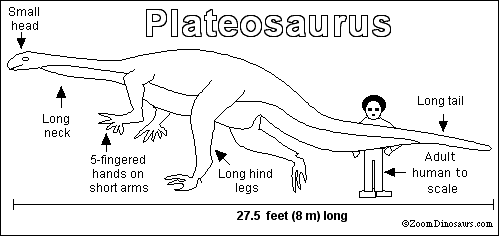 Search result: 'Plateosaurus Print-out'