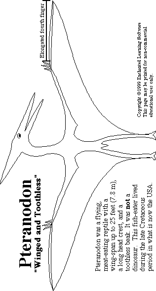 Search result: 'Pteranodon Print-out'