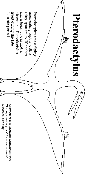 Pterodactylus