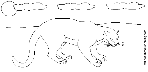 simple panther drawing