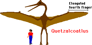 Quetzal Dinosaur Wingspan