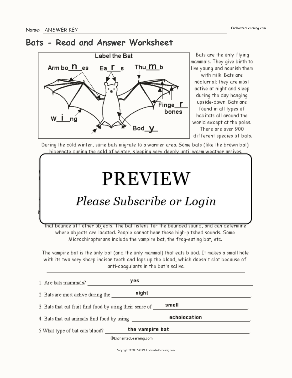 Bats - Read and Answer Worksheet - Enchanted Learning