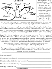 Mammal Activities, Worksheets, and Crafts - EnchantedLearning.com