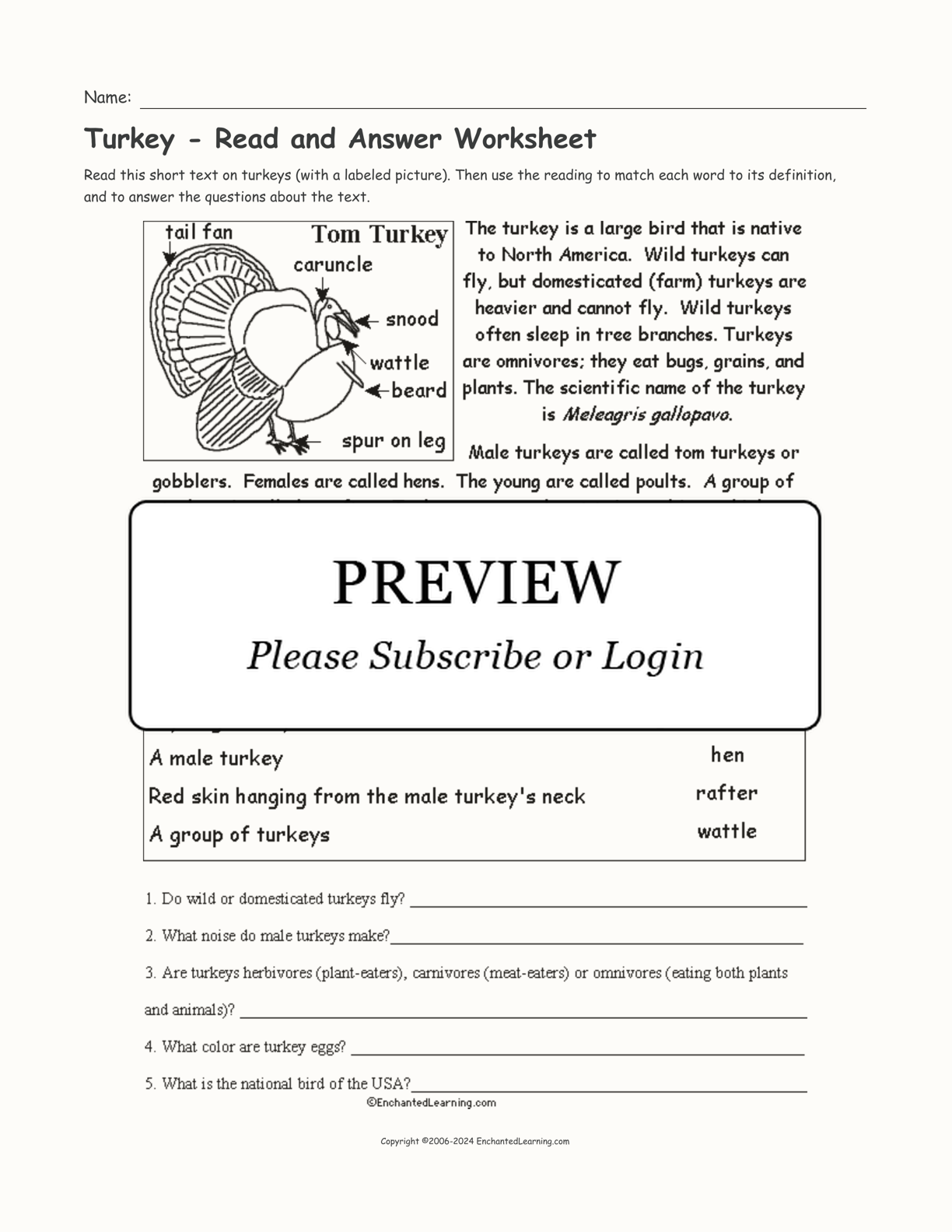 Turkey - Read and Answer Worksheet interactive worksheet page 1