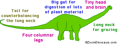 seismosaurus scale