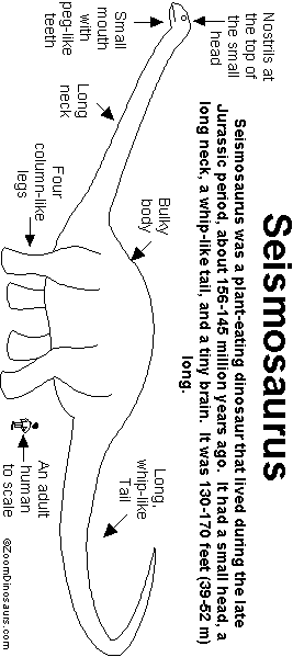 Search result: 'Seismosaurus Printout'