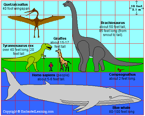 T Rex EnchantedLearning