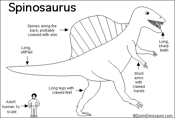 Spinosaurus