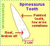 Search result: 'Spinosaurus Questions'