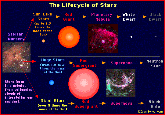 red dwarf life cycle