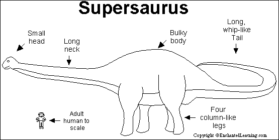 Search result: 'Supersaurus Print-out'