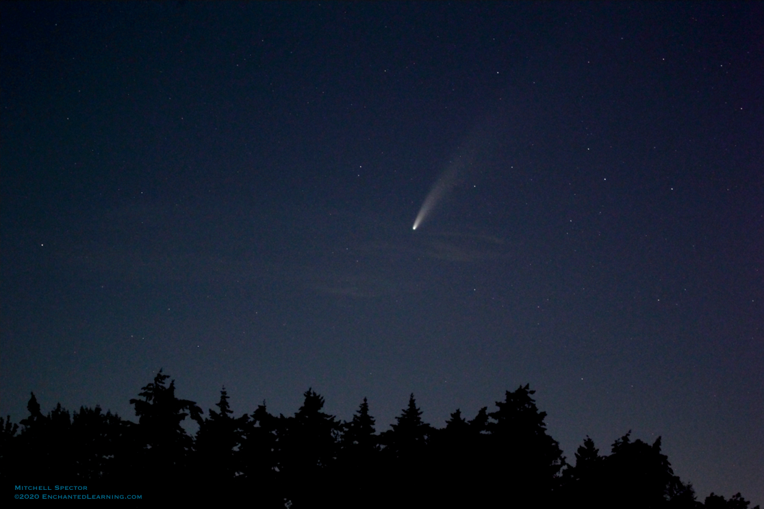 Comet NEOWISE in Seattle Skies