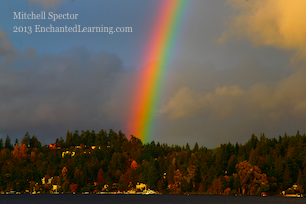 Rainbow over Bellevue Close-up