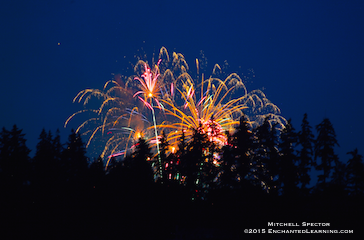 Fireworks Behind the Trees of Bellevue