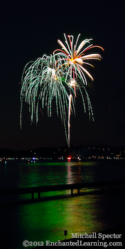 Palm Tree and Willow in Fireworks