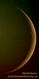 Waxing Crescent Moon, 7.5% Illuminated
