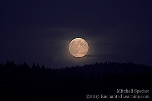 Full Moon Rising over Bellevue