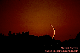 Crescent Moon Setting over Seattle