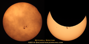 The sun's corona during totality