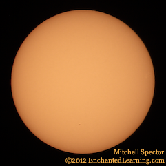 One Lone Sunspot